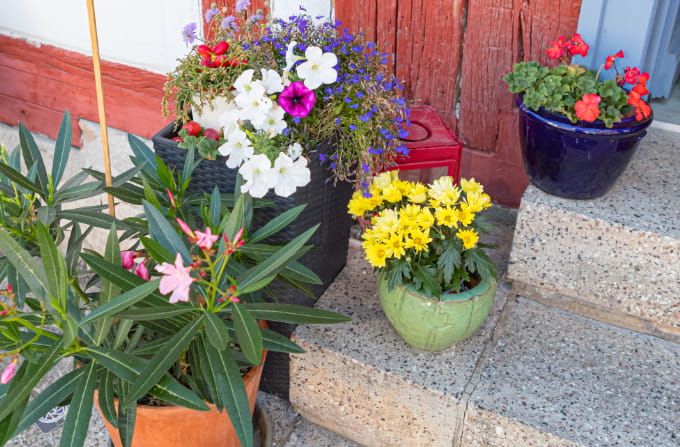 Bunte Blumentöpfe vor dem Eingang des Bürgercafés Ummerstadt.